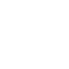 YouTube icon